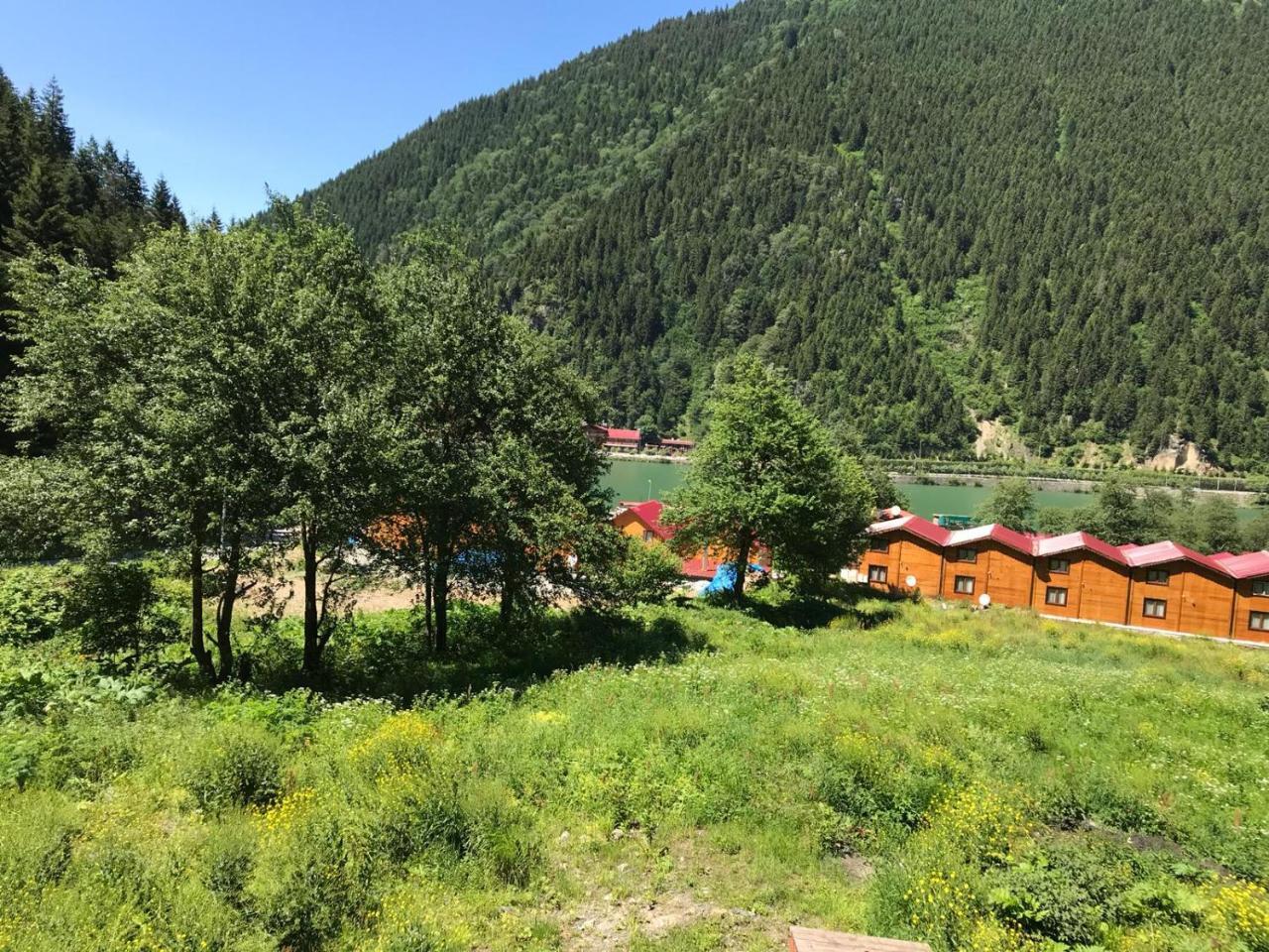 Faraksi Bungalow & Otel Uzungöl Kültér fotó